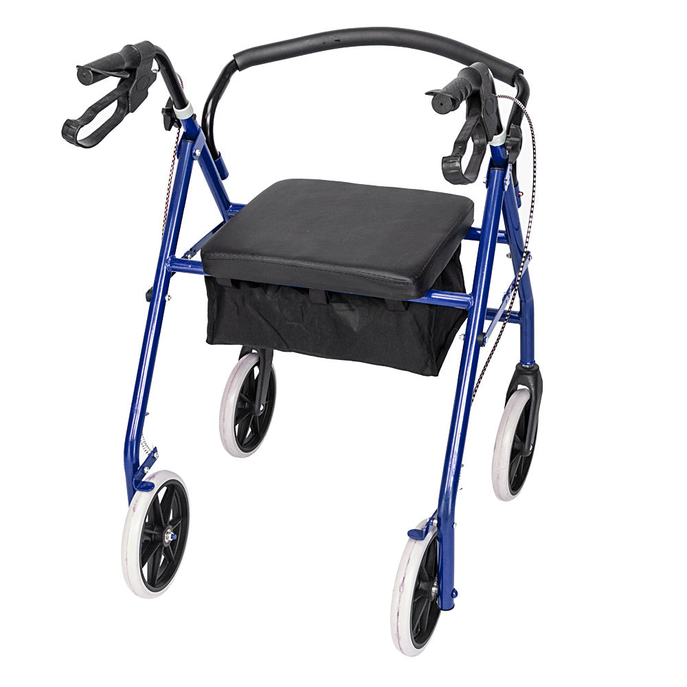 Iron Pipe Nylon Adult Walker 286lbs, Blue And Black Color For Driving Assistance