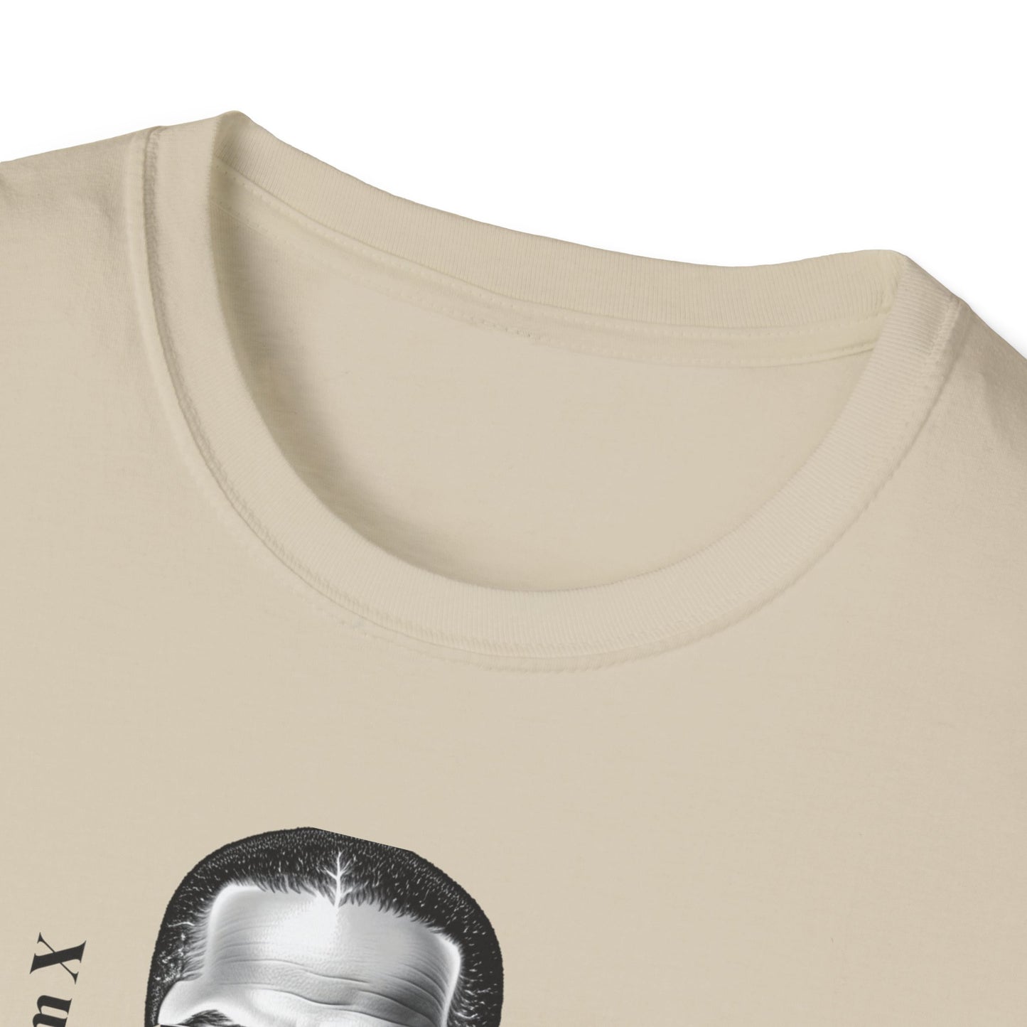 Empowering Message T-Shirt, Malcolm X Quote Shirt, Unisex T-Shirt, Civil [...]