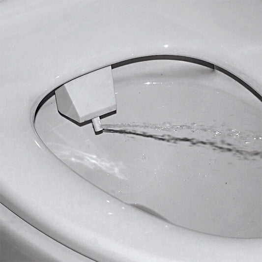 Toilet bidet flush butt